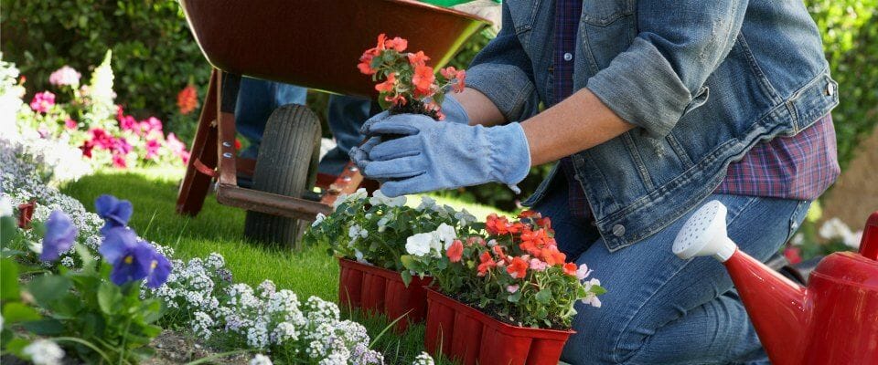 Strengthening exercises for Gardeners