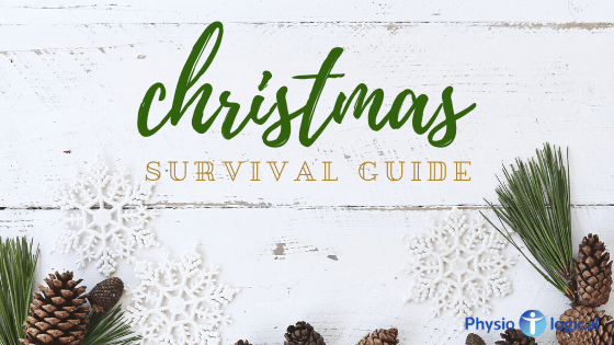 Our Christmas Survival Guide